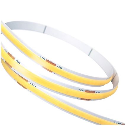 Tira LED TRAMO LED/500W/24V 50 m 6500K