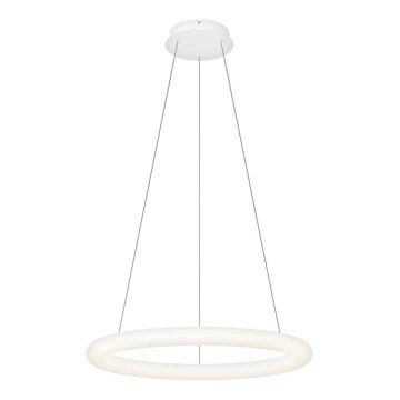Top Light - Lámpara colgante LED regulable RINGO LED/40W/230V 3000-6500K blanca + mando a distancia