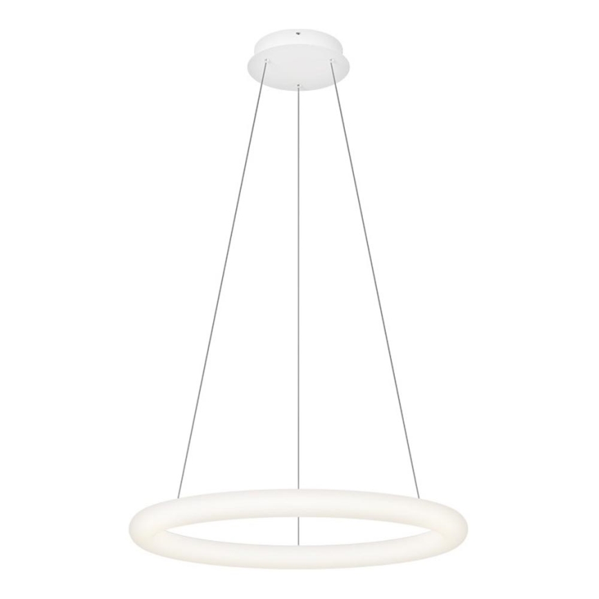 Top Light - Lámpara colgante LED regulable RINGO LED/40W/230V 3000-6500K blanca + mando a distancia