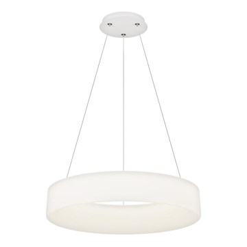 Top Light - Lámpara colgante regulable HALO LED/60W/230V 3000-6500K Ø 60 cm + control a distancia