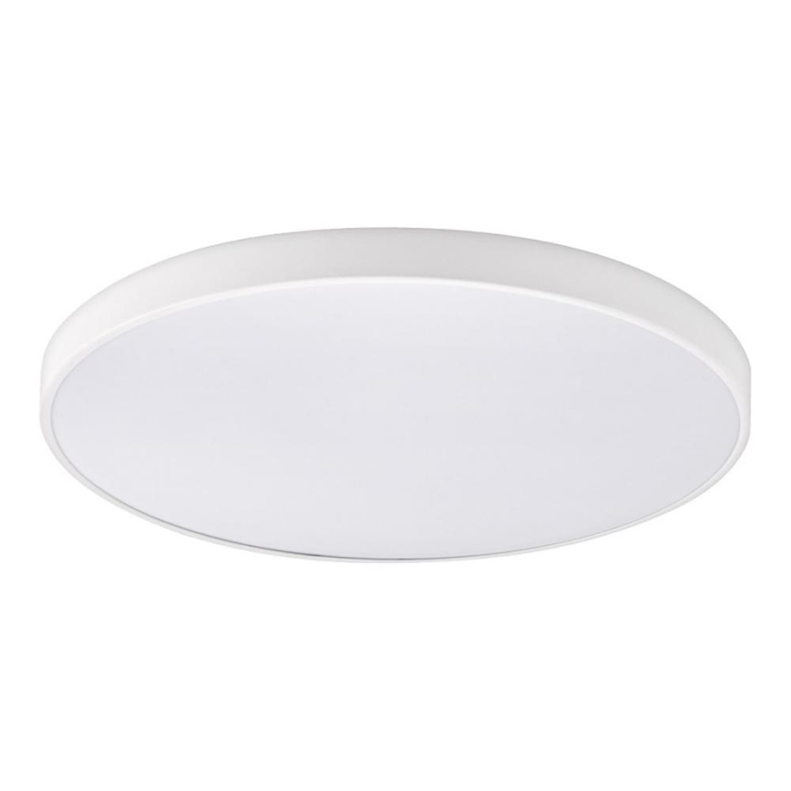 Top Light - Lámpara de techo LED regulable para baño PETAL LED/60W/230V 3000-6500K IP44 Ø 59 cm blanca + mando a distancia
