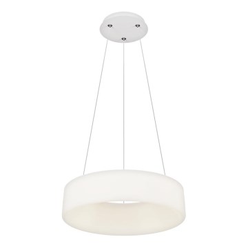 Top Light - LED Lámpara colgante regulable HALO LED/40W/230V 3000-6500K diámetro 44 cm + control remoto