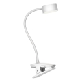 Top Light - LED Lámpara de mesa táctil regulable con clip BELLA LED/4,8W/5V 3000-6500K blanca