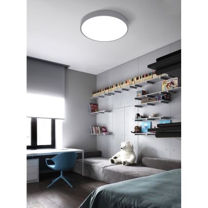 Top Light Metal 40S RC - Lámpara de techo LED regulable LED/51W/230V gris + mando a distancia