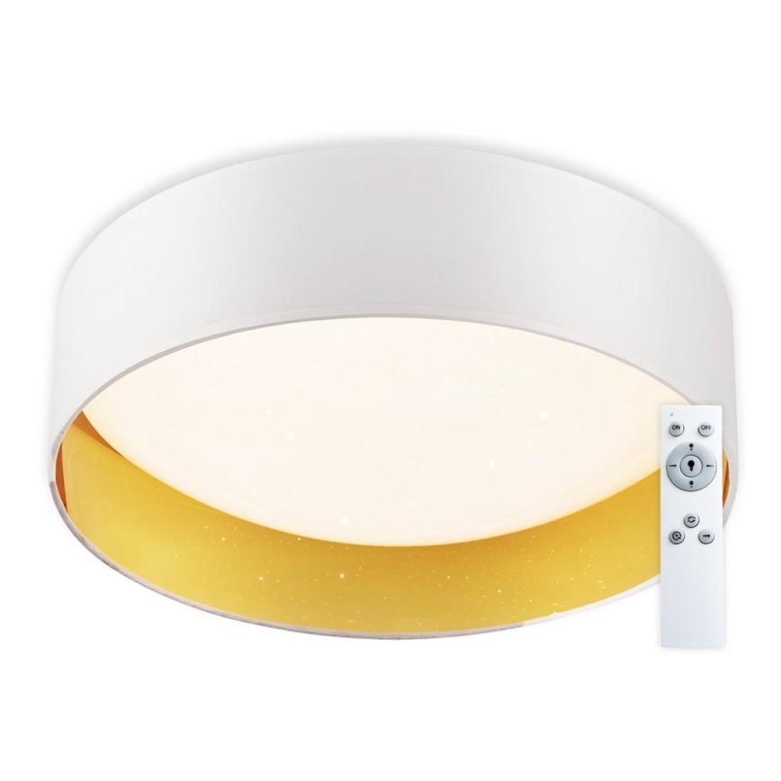 Top Light - Plafón LED regulable IVONA 40B RC LED/24W/230V + control remoto blanco