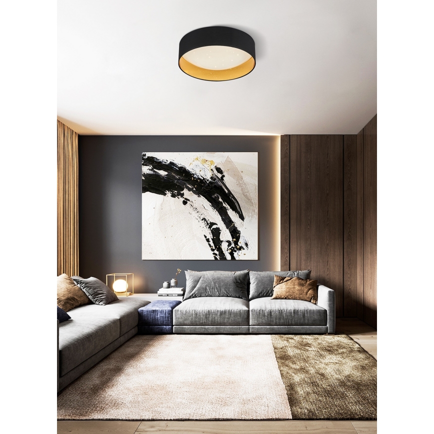 Top Light - Plafón LED regulable IVONA 40C RC LED/24W/230V + control remoto negro