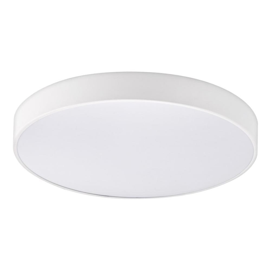 Top Light - Plafón LED regulable PETAL LED/48W/230V IP44 3000-6500K d. 48 cm blanco + control remoto