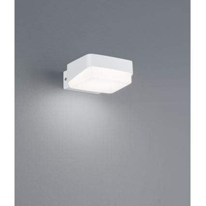 Trio - Aplique LED para exterior JUBA LED/10W/230V IP65