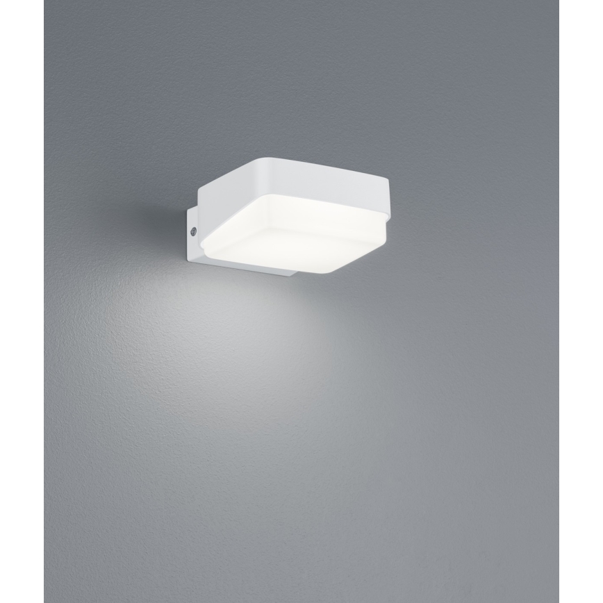 Trio - Aplique LED para exterior JUBA LED/10W/230V IP65