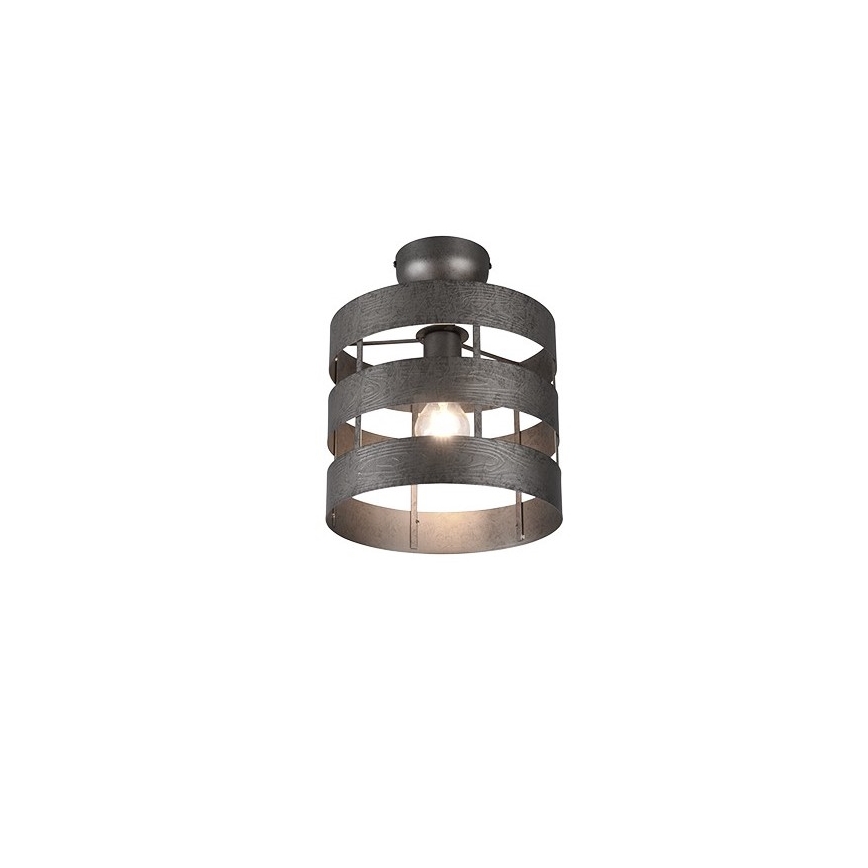 Trio - Lámpara de araña de luces de superficie DUNCAN 1xE27/40W/230V
