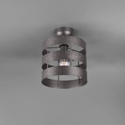 Trio - Lámpara de araña de luces de superficie DUNCAN 1xE27/40W/230V