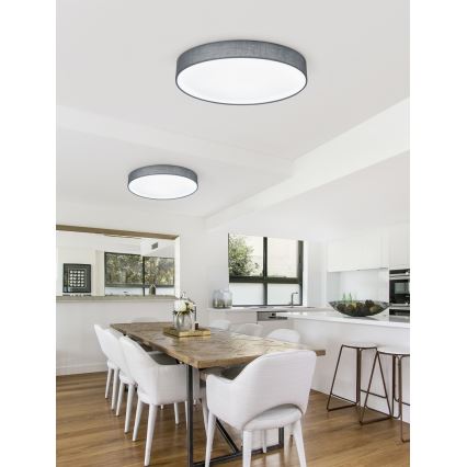 Trio - Lámpara de techo LED regulable LUGANO LED/22W/230V 3000K Ø 40 cm gris