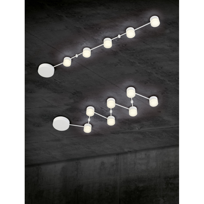 Trio - Plafón LED regulable NASHVILLE 5xLED/3W/230V