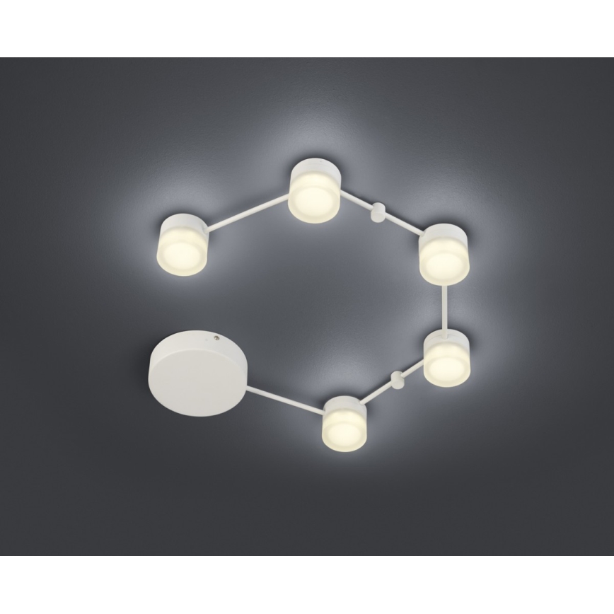 Trio - Plafón LED regulable NASHVILLE 5xLED/3W/230V