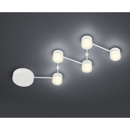 Trio - Plafón LED regulable NASHVILLE 5xLED/3W/230V