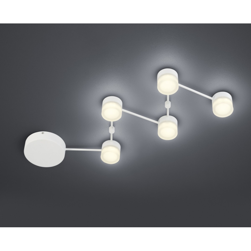 Trio - Plafón LED regulable NASHVILLE 5xLED/3W/230V