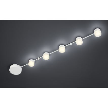 Trio - Plafón LED regulable NASHVILLE 5xLED/3W/230V
