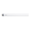 Tubo fluorescente LED Philips T8 G13/16W/230V 3000K 120 cm
