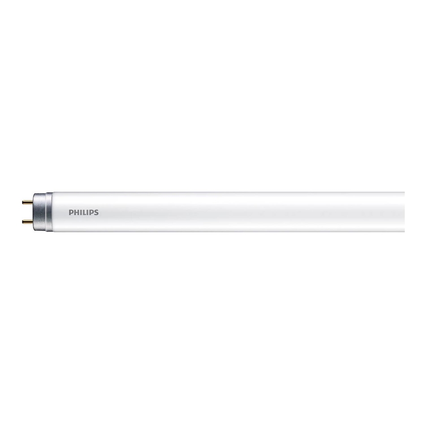 Tubo fluorescente LED Philips T8 G13/16W/230V 6500K 120 cm