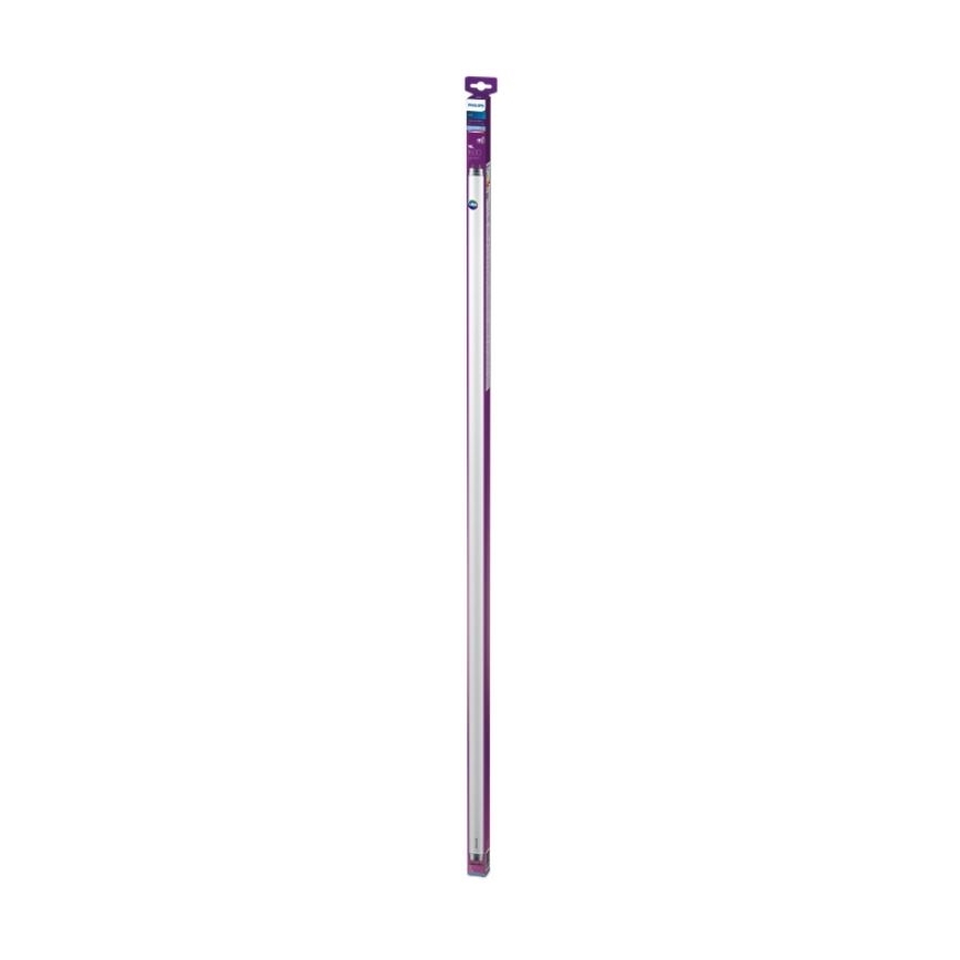 Tubo fluorescente LED Philips T8 G13/16W/230V 6500K 120 cm