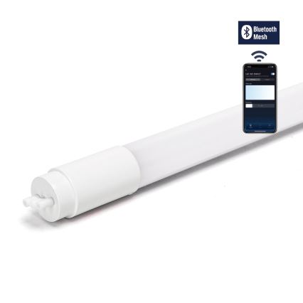 Tubo fluorescente LED regulable MESH Smart T8/10W/230V 6500K 60 cm - Aigostar
