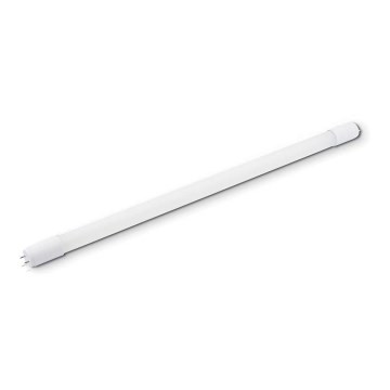 Tubo fluorescente LED T8 G13/8W/230V 6000K 60 cm