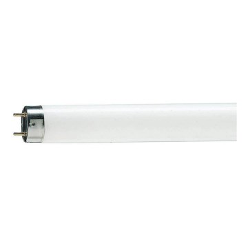 Tubo fluorescente T8 G13/18W/103V 6500K