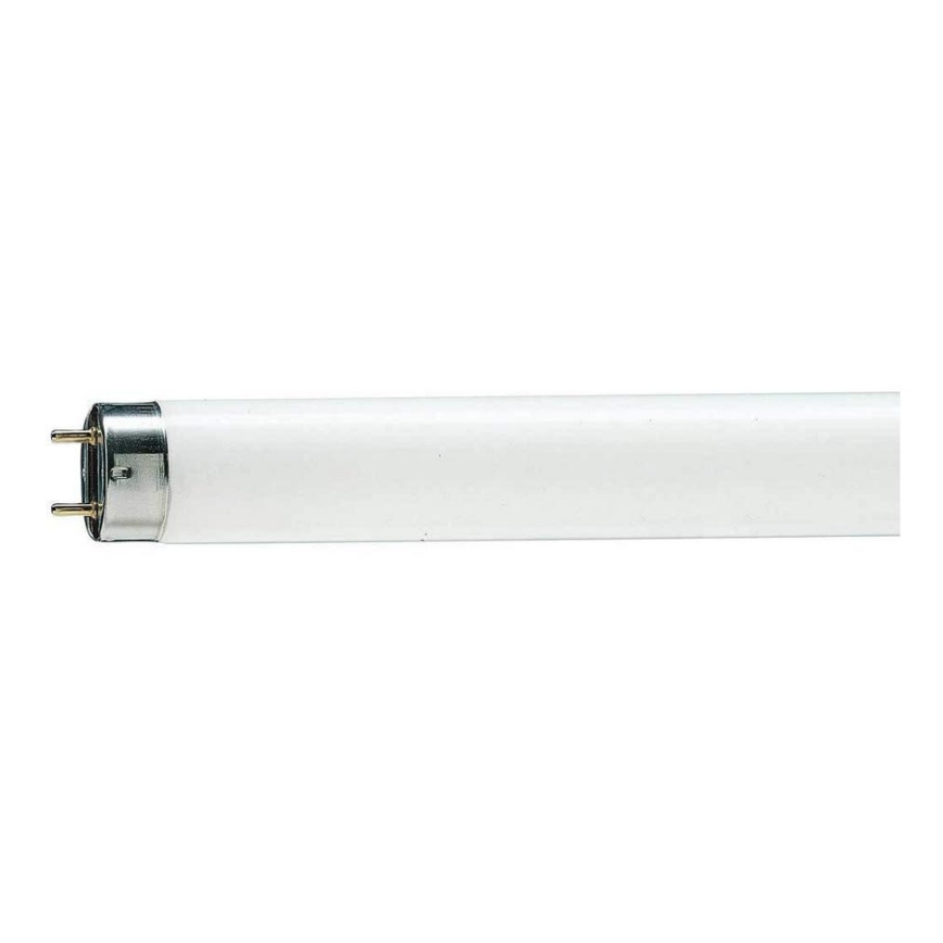 Tubo fluorescente T8 G13/18W/103V 6500K