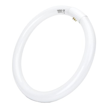 Tubo fluorescente T9 G10q/32W/230V 6500K - Aigostar