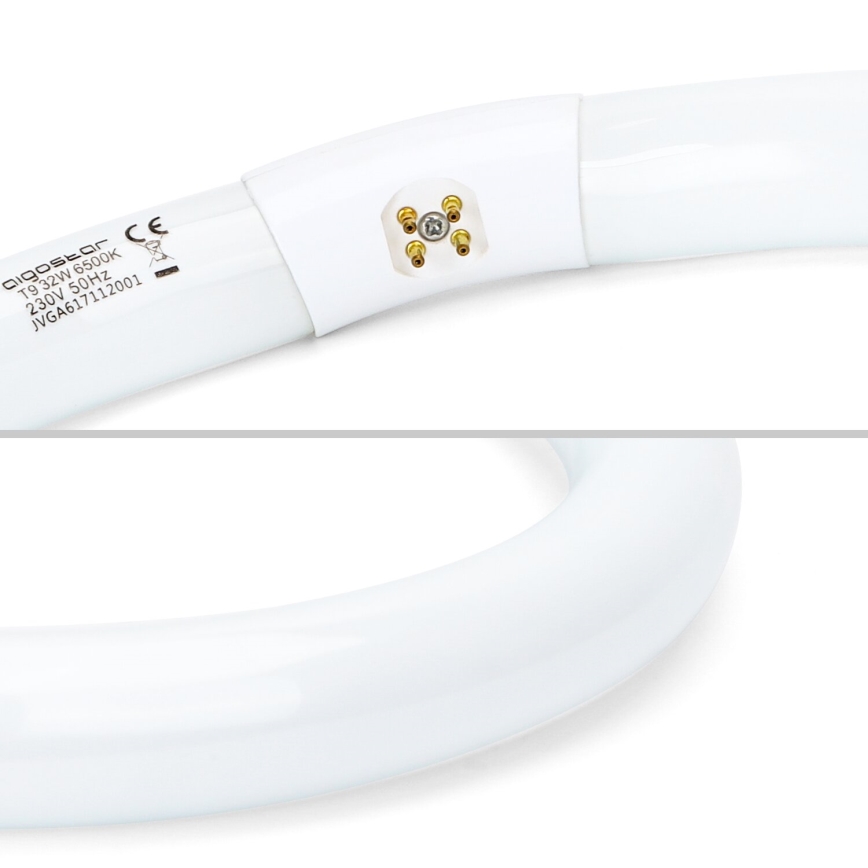 Tubo fluorescente T9 G10q/32W/230V 6500K - Aigostar