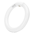 Tubo fluorescente T9 G24q-1/22W/230V 6500K - Aigostar