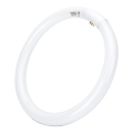 Tubo fluorescente T9 G24q-1/32W/230V 6500K - Aigostar