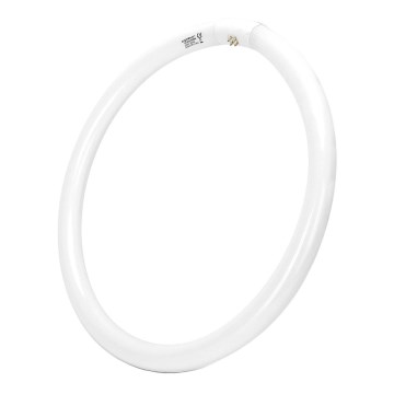 Tubo fluorescente T9 G24q-1/40W/230V 6500K - Aigostar