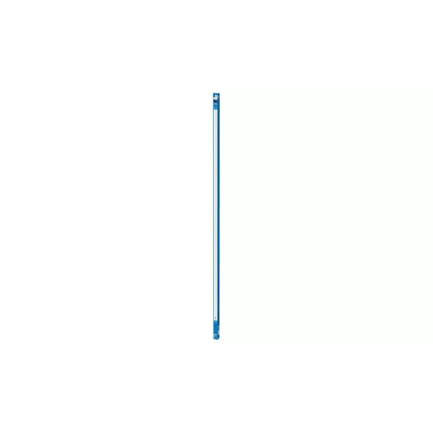 Tubo LED fluorescente Philips T8, casquillo G13, 31,5 W, 230 V, 3000 K, 150 cm