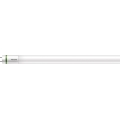 Tubo LED fluorescente Philips T8 G13 31,5W/230W 4000K 150 cm