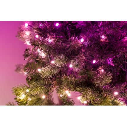 Twinkly - Decoración navideña LED RGBW regulable GARLAND 50xLED 2,7 m Wi-Fi