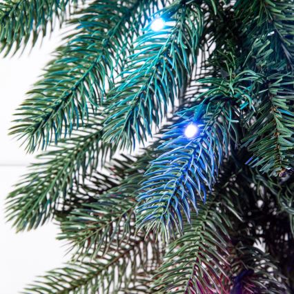 Twinkly - Decoración navideña LED RGBW regulable GARLAND 50xLED 2,7 m Wi-Fi