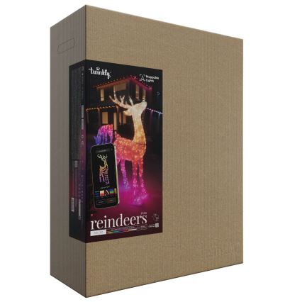 Twinkly TW3RS200SPP-TEU - Reno LED RGBW regulable para exterior 240xLED IP44 Wi-Fi