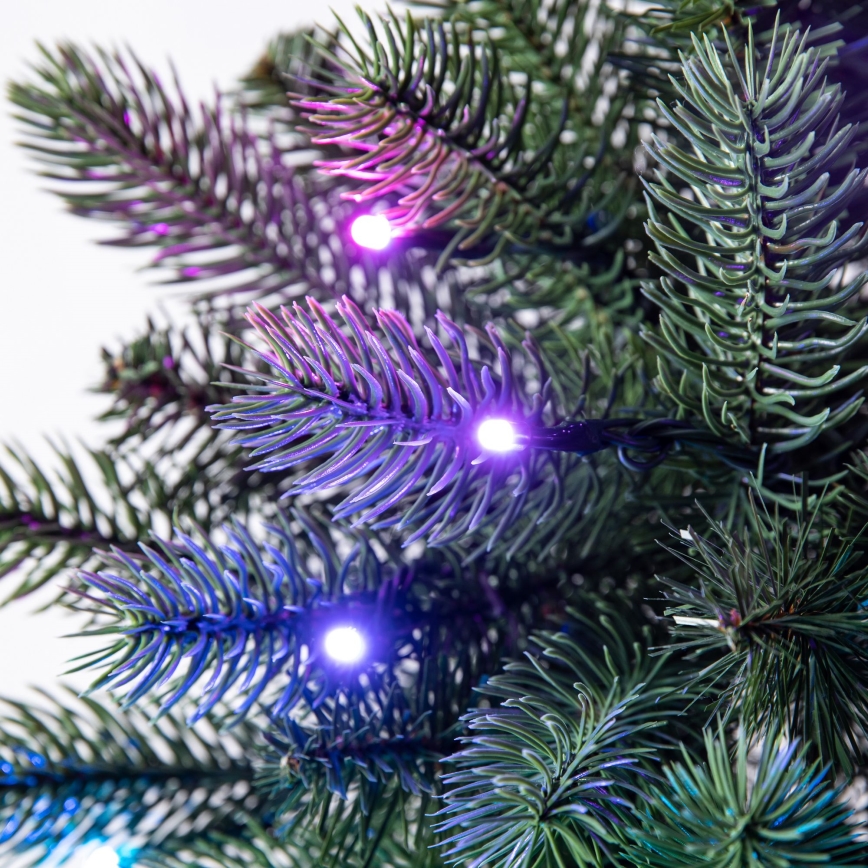Twinkly - LED RGB Regulable Corona de Navidad PRE-LIT WREATH 50xLED diá. 61cm Wi-Fi
