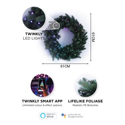 Twinkly - LED RGB Regulable Corona de Navidad PRE-LIT WREATH 50xLED diá. 61cm Wi-Fi