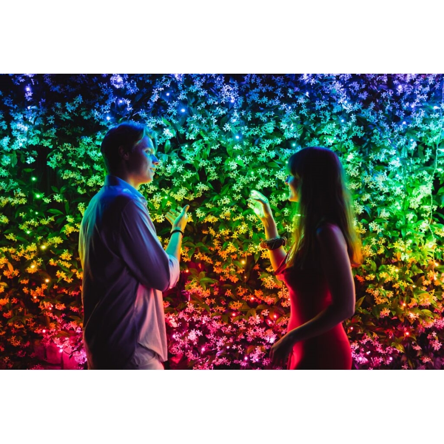 Twinkly - LED RGB Regulable exterior Cinta de Navidad STRINGS 250xLED 23,5m IP44 Wi-Fi