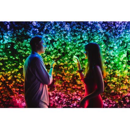 Twinkly - LED RGBW Cadena de Navidad regulable para exteriores STRINGS 600xLED 51,5m IP44 Wi-Fi