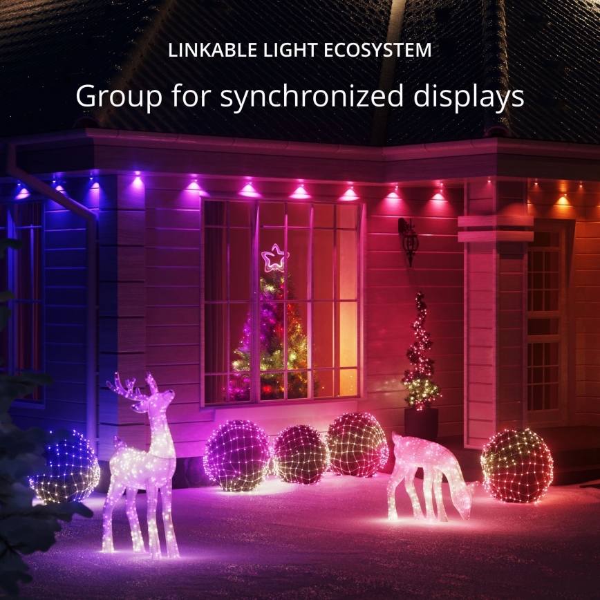 Twinkly TWS750STP-BEU - Cadena LED RGB regulable para exteriores 63,5m IP44 Wi-Fi