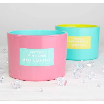 Vela aromática Menta y Lima 292 g
