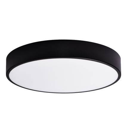 Vidrio de recambio CLEO 60 cm tarros