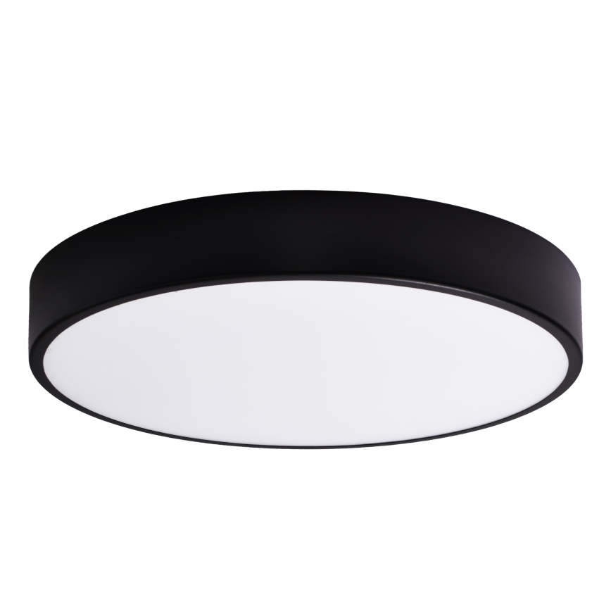 Vidrio de recambio CLEO 60 cm tarros