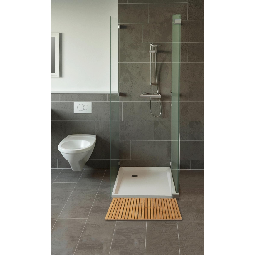 WENKO 24611100 - Felpudo BAMBUSA 100x50 cm marrón