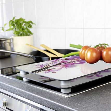 WENKO 2521433500 - Cubierta para placa ABDECKPLATTE - FLOR/PLANTA 30x52 cm multicolor