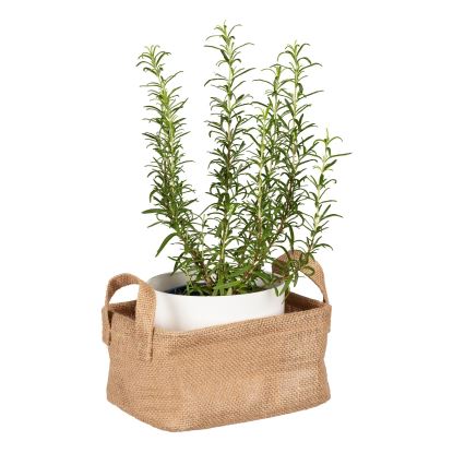 WENKO 64470100 - Cesta JUNA 20x15 cm marrón