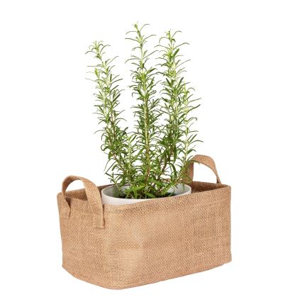 WENKO 64471100 - Cesta JUNA 24x17 cm marrón